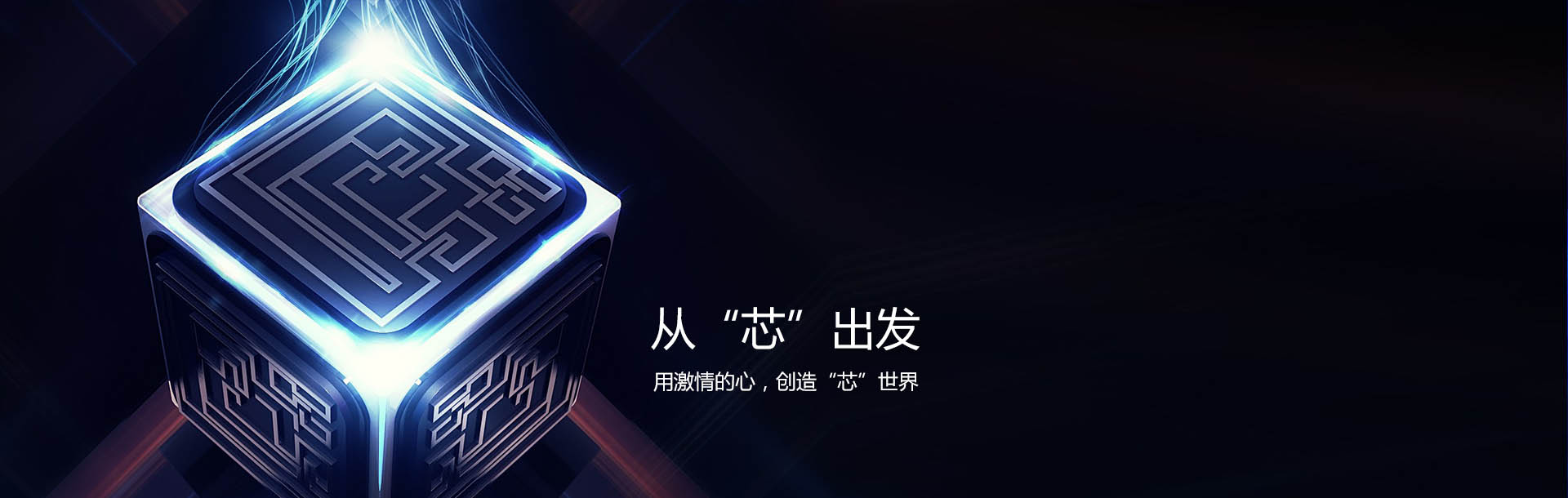 芯片产品